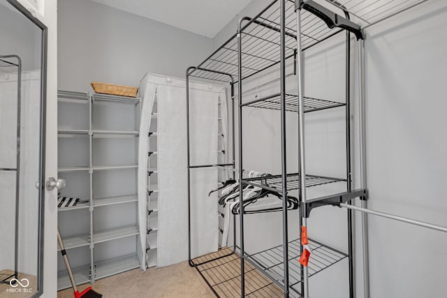 8850 Tanner Dr, Fishers, IN 46038 - spacious closet with light colored carpet