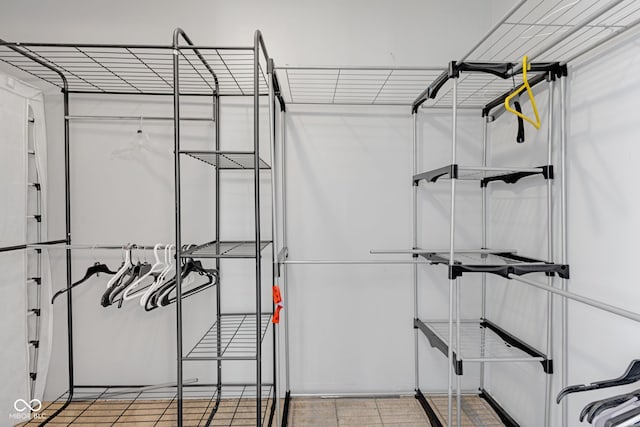 8850 Tanner Dr, Fishers, IN 46038 - view of walk in closet