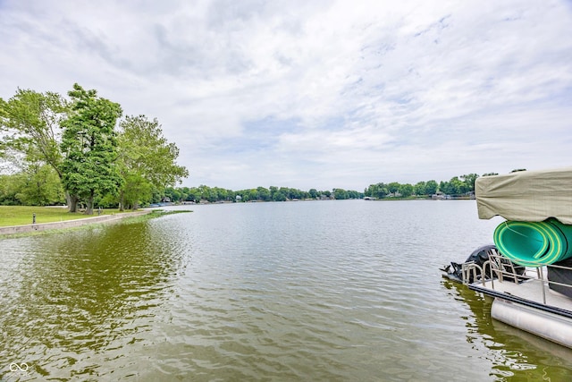 20971 Shoreline Ct Unit 408, Noblesville, IN 46062 - water view