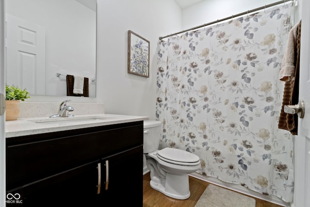 9801 Zion Way, Pendleton, IN 46064 - bathroom with vanity, wood finished floors, and a shower with curtain