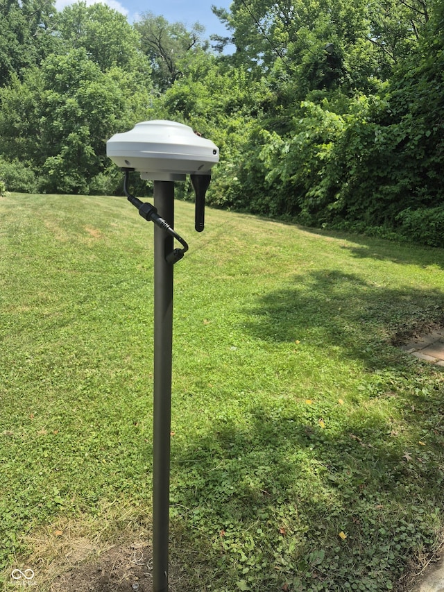7802 Fall Creek Rd, Indianapolis, IN 46256 - view of green lawn
