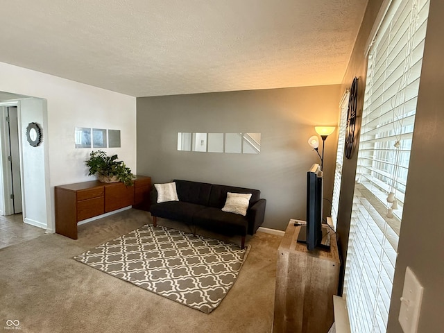 5020 Long Iron Dr, Indianapolis, IN 46235 - carpeted living room with a textured ceiling