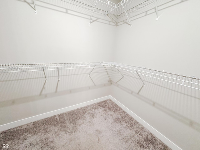 3522 Brampton Ln, Westfield, IN 46074 - spacious closet with carpet flooring