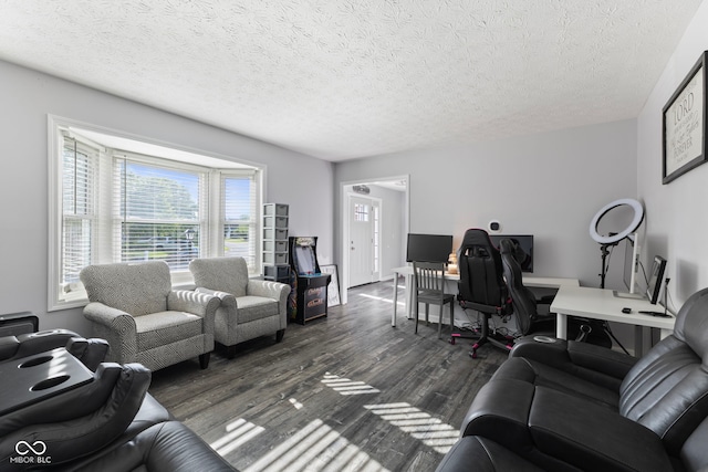 10532 Beacon Ln, Indianapolis, IN 46256 - living area featuring dark wood-type flooring and a textured ceiling