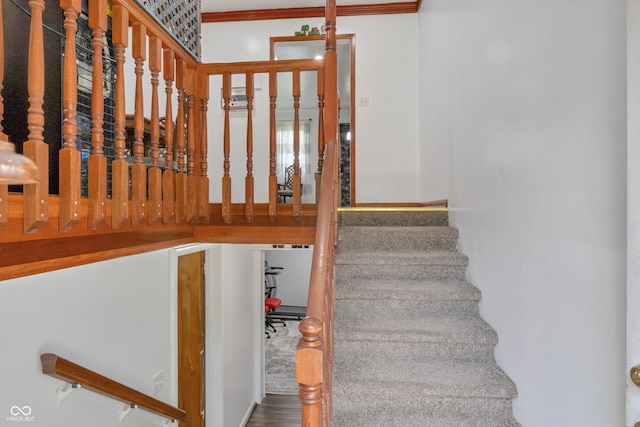 157 E Hill Valley Dr, Indianapolis, IN 46227 - stairs with ornamental molding