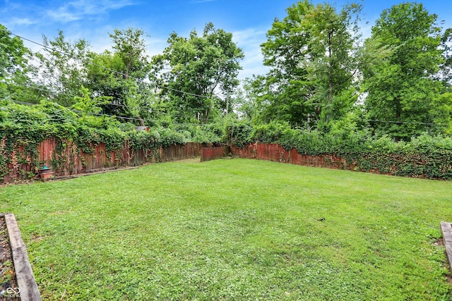 1065 Chevy Chase Ln, Carmel, IN 46280 - view of fenced yard