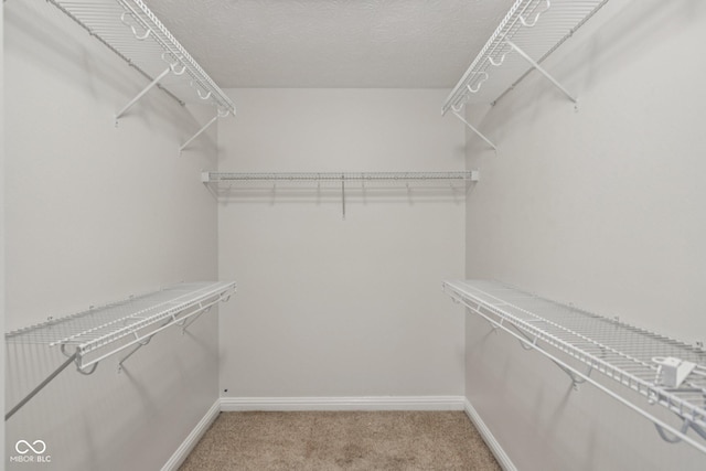 1272 Townsend Dr, Greenwood, IN 46143 - spacious closet with light carpet