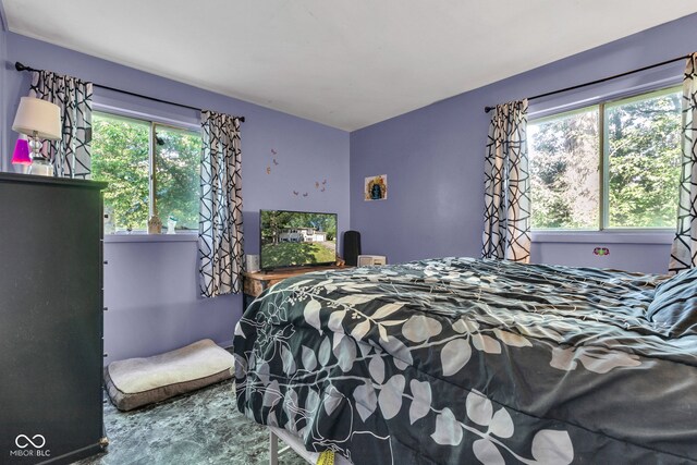 3909 Richelieu Ct, Indianapolis, IN 46226 - view of bedroom