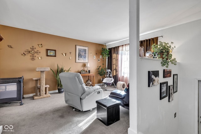 3909 Richelieu Ct, Indianapolis, IN 46226 - living area featuring carpet and a wood stove