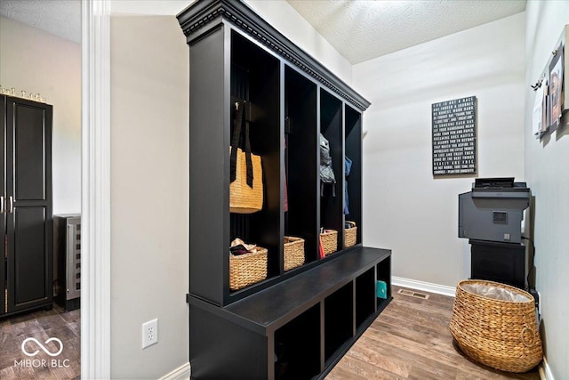 11322 Sea Side Ct, Fishers, IN 46040 - mudroom featuring wood finished floors and a textured ceiling