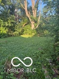 3514 Jerome Ct, Indianapolis, IN 46235 - view of yard