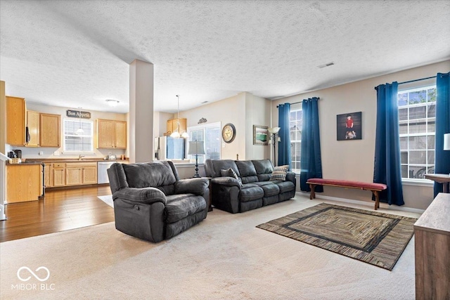 16009 Tenor Way, Noblesville, IN 46060 - living area with carpet, a textured ceiling, and wood finished floors
