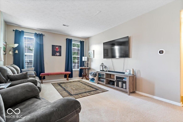 16009 Tenor Way, Noblesville, IN 46060 - carpeted living room featuring a textured ceiling