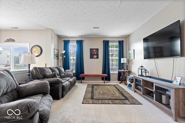 16009 Tenor Way, Noblesville, IN 46060 - carpeted living area featuring a textured ceiling and baseboards