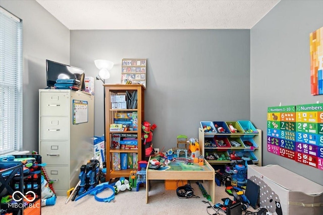 16009 Tenor Way, Noblesville, IN 46060 - playroom featuring carpet