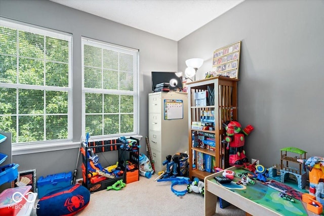 16009 Tenor Way, Noblesville, IN 46060 - game room featuring carpet