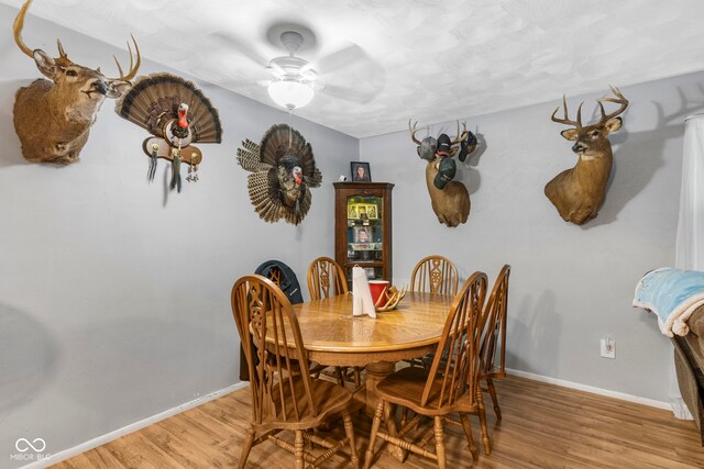 5481 N State Road 3, Deputy, IN 47230 - photo 6