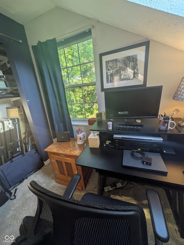 7327 Newbury Ct, Fishers, IN 46038 - office with lofted ceiling and carpet floors
