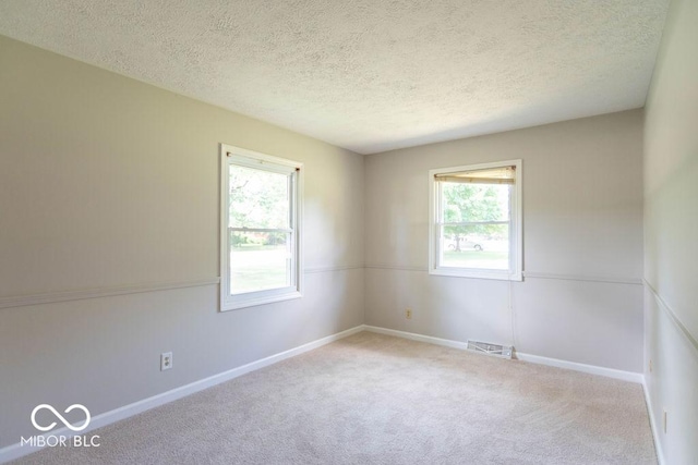 1189 N County Road 475 E, Avon, IN 46123 - empty room with plenty of natural light, a textured ceiling, and carpet floors