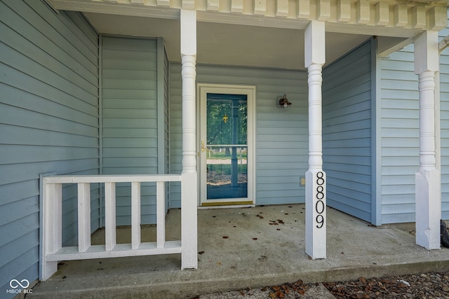 8809 Haddington Dr N, Indianapolis, IN 46256 - property entrance featuring covered porch