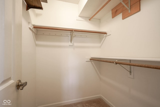 8809 Haddington Dr N, Indianapolis, IN 46256 - spacious closet featuring carpet floors