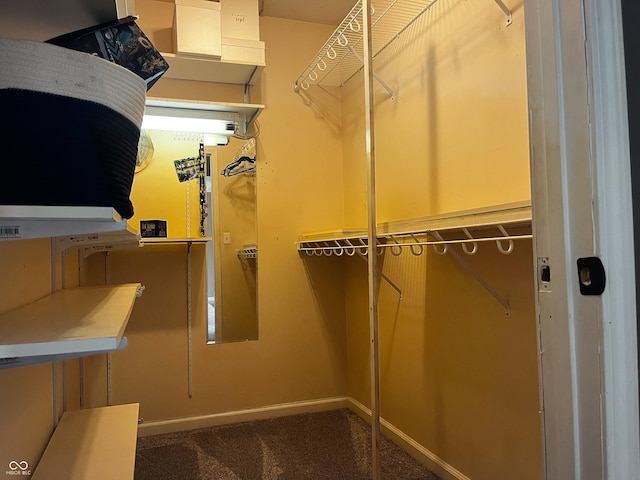 1646 N Nieman Dr, Greensburg, IN 47240 - spacious closet featuring carpet flooring