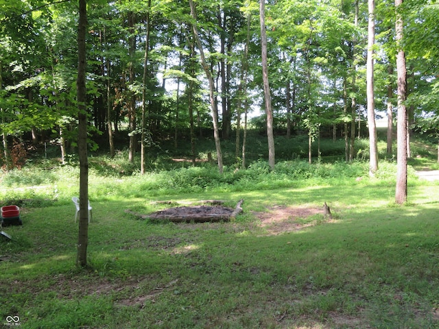 10599 Hickory Ct, Quincy, IN 47456 - photo 33