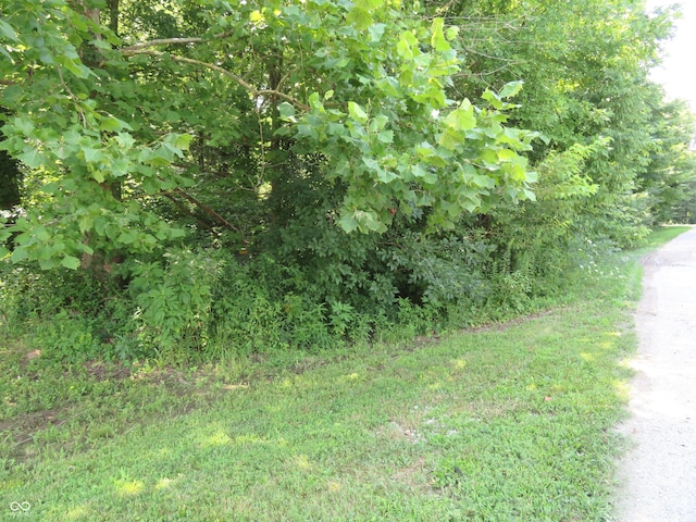 10599 Hickory Ct, Quincy, IN 47456 - photo 53