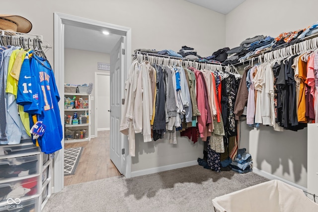 1448 Willow Tree Ln, Sheridan, IN 46069 - view of spacious closet