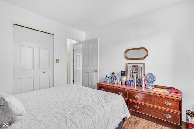 1058 Creekwood Ln, Franklin, IN 46131 - bedroom featuring wood finished floors and a closet