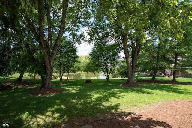 10630 Thorny Rdg Trce, Fishers, IN 46037 - view of grassy yard