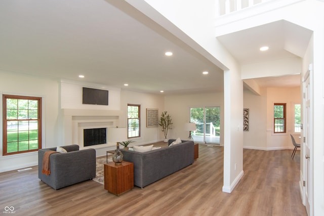 10630 Thorny Rdg Trce, Fishers, IN 46037 - living area with plenty of natural light, recessed lighting, light wood finished floors, and a fireplace with raised hearth
