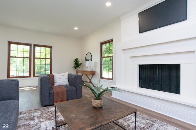 10630 Thorny Rdg Trce, Fishers, IN 46037 - living room featuring wood finished floors, crown molding, and recessed lighting