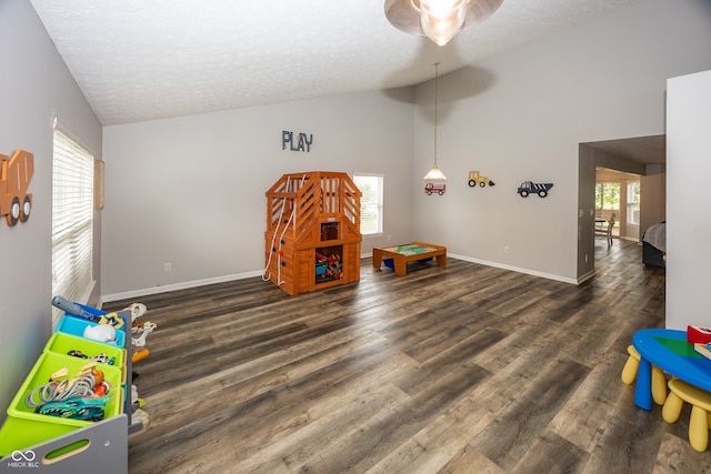 14126 Stonewood Pl, Fishers, IN 46037 - playroom with a textured ceiling, wood finished floors, and high vaulted ceiling