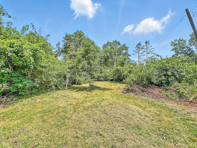 3505 N Emerson Ave, Indianapolis, IN 46218 - view of grassy yard