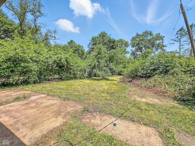 3505 N Emerson Ave, Indianapolis, IN 46218 - view of green lawn