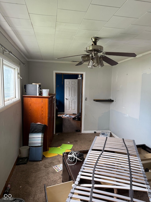 1918 14th St, Columbus, IN 47201 - interior space with carpet and a ceiling fan