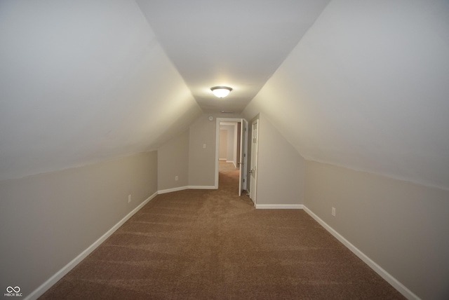 552 Jefferson Ave, Indianapolis, IN 46201 - additional living space featuring carpet and lofted ceiling