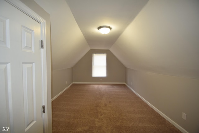 552 Jefferson Ave, Indianapolis, IN 46201 - additional living space with carpet flooring and lofted ceiling