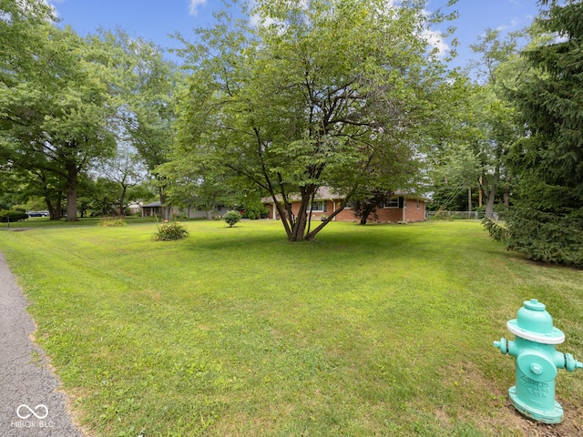 5530 Skyridge Dr, Indianapolis, IN 46250 - view of green lawn