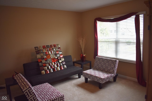 5817 Mustang Ter, Plainfield, IN 46168 - living area featuring carpet floors