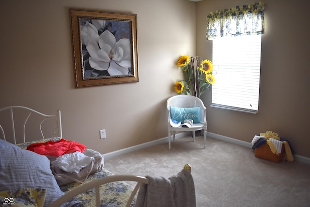 5817 Mustang Ter, Plainfield, IN 46168 - living area with plenty of natural light and carpet floors