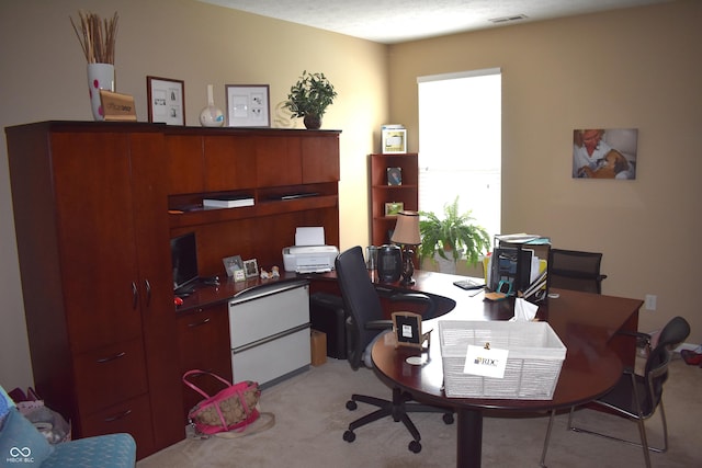 5817 Mustang Ter, Plainfield, IN 46168 - home office featuring light carpet