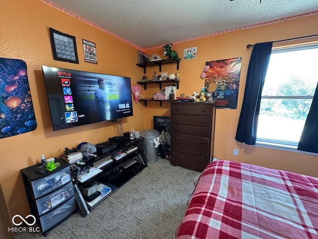 1214 Lindsey Ln, Lebanon, IN 46052 - bedroom with a textured ceiling, carpet floors, and multiple windows