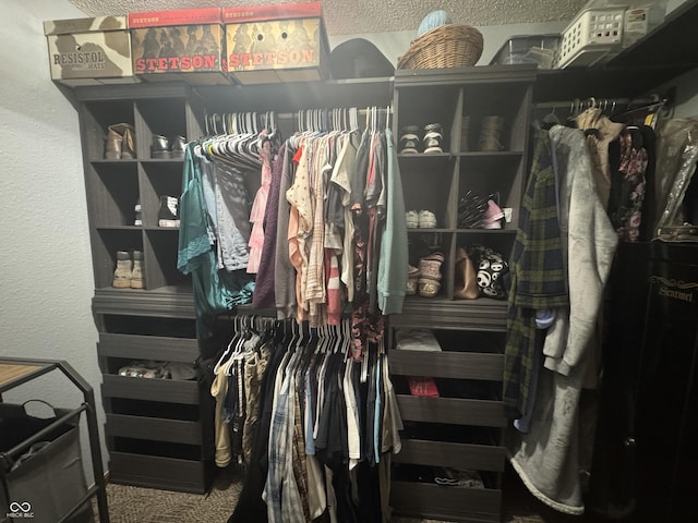 1214 Lindsey Ln, Lebanon, IN 46052 - spacious closet featuring carpet
