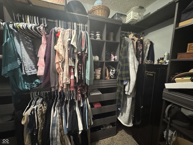 1214 Lindsey Ln, Lebanon, IN 46052 - view of walk in closet