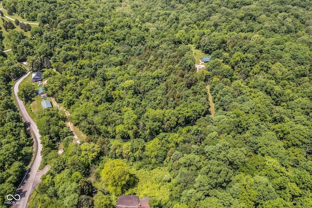 8701 E Splinter Ridge Rd, Madison, IN 47250 - bird's eye view of a forest