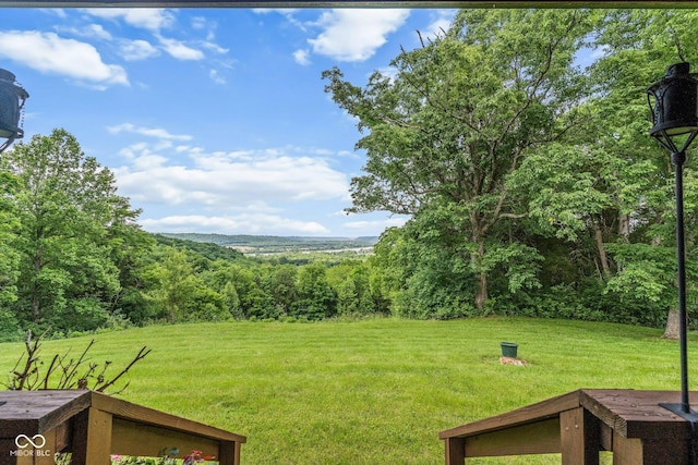 8701 E Splinter Ridge Rd, Madison, IN 47250 - view of grassy yard with a view of trees