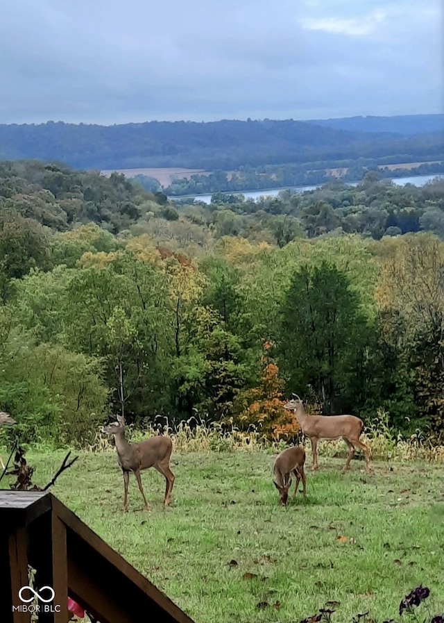 8701 E Splinter Ridge Rd, Madison, IN 47250 - mountain view featuring a heavily wooded area