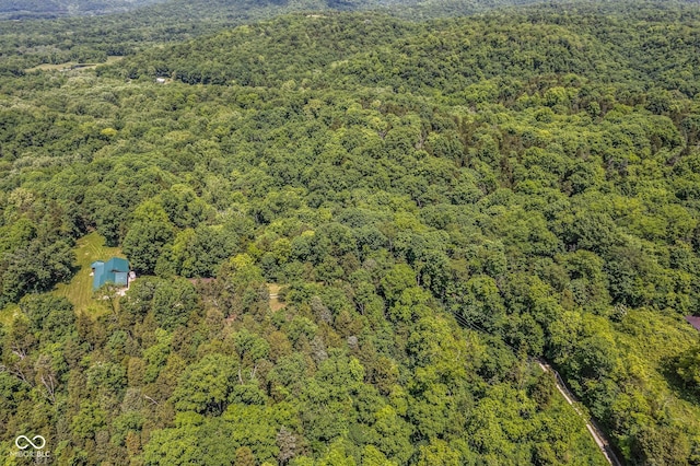 8701 E Splinter Ridge Rd, Madison, IN 47250 - aerial view of a forest